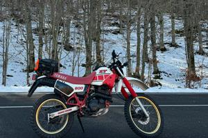 Yamaha XT 600 43f