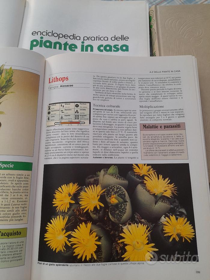 Enciclopedia delle piante - Vendita in Libri e riviste 