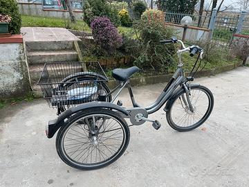 Bicicletta elettrica