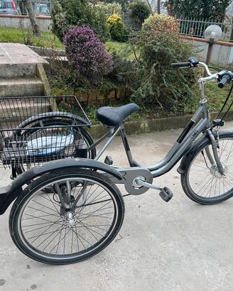 Bicicletta elettrica