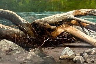 Radici nel guado - Maestro Sergio Gianesini
