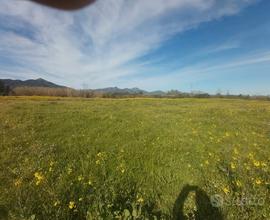 Terreno agricolo con ricoveri in località Filixi