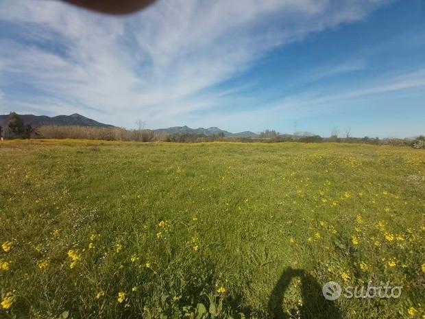 Terreno agricolo con ricoveri in località Filixi