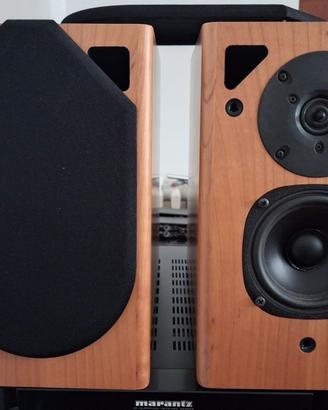Diffusori bookshelf Golden Voice (prezzo ridotto)