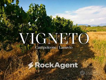 Terreno di 10000 m² a Lanuvio