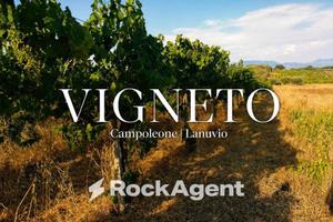Terreno di 10000 m² a Lanuvio
