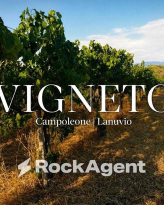 Terreno di 10000 m² a Lanuvio
