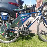 MOUNTAIN BIKE FRECCE TRICOLORE