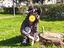 Immagine 4