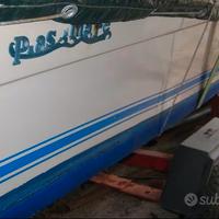 Motoscafo Plastimare 420 motore selva 25cv