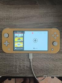 Nintendo switch lite
