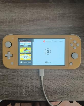 Nintendo switch lite