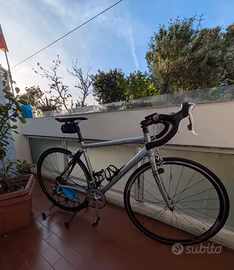 Specialized allez