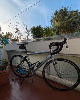 Specialized allez