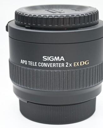Sigma APO-TELE Converter x Nikon