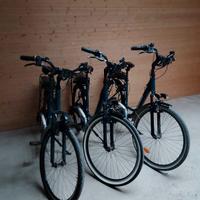 E-BIKE CYTY