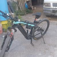 Bicicletta elettrica