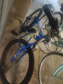Bicicletta bambin/ragazzo