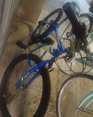 Bicicletta bambin/ragazzo