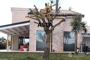 Villa Singola con Ampio Terreno (Ragusa)