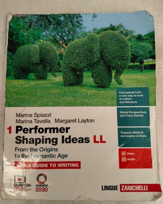 Performer Shaping Ideas 1 