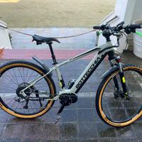 E Bike Bottecchia