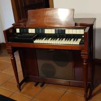 organo hammond