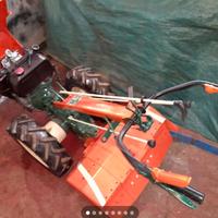 motocoltivatore goldoni cv 14 d. special