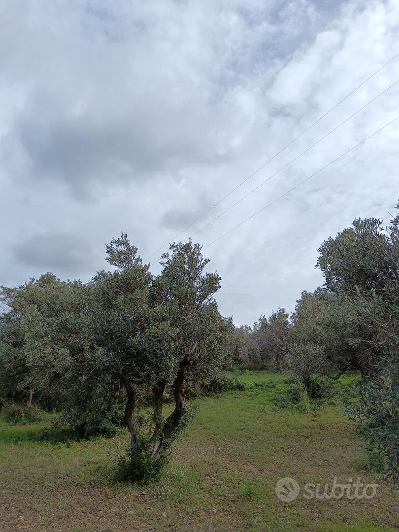 Terreno edificabile s. saba - Vista 4