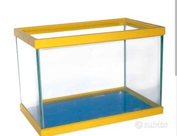 acquario 