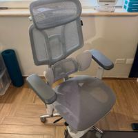 Sedia ergonomica HBADA E3 PRO + Braccioli E3 ULTRA