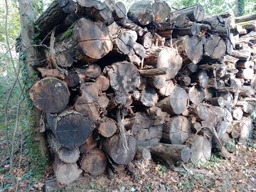 Legna da ardere secca