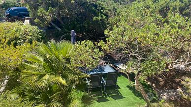 Casa a Stintino con giardino e vista mare
