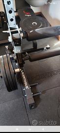 leg extension/curl lacertosus half rack pro rack