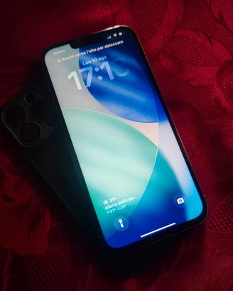 iPhone 13 Pro Max 256 Gb