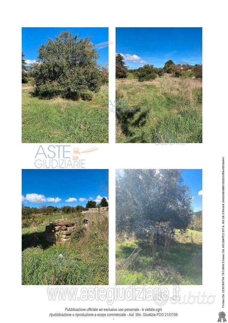 Appartamento – Oriolo Romano, Viterbo - Vista 4