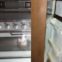 Elettrodomestici: Frigo + Forno a Gas 