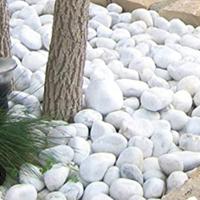 ciottoli da arredo giardino 