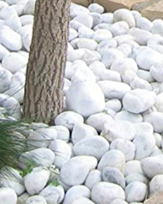 ciottoli da arredo giardino 