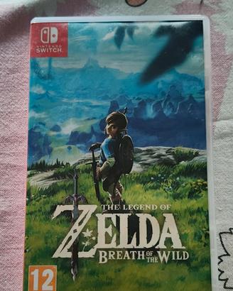gioco Nintendo switch 