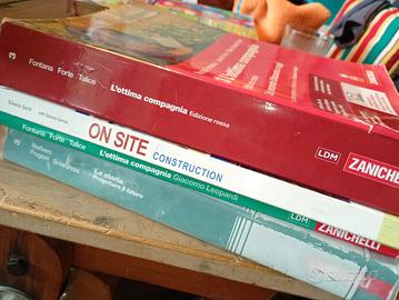 Libri geometra 5 cat scolastici scuola superiori 