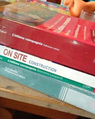 Libri geometra 5 cat scolastici scuola superiori 