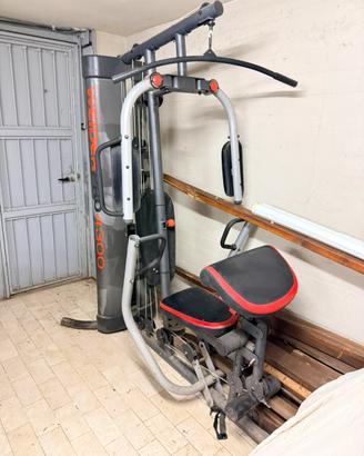 Palestra