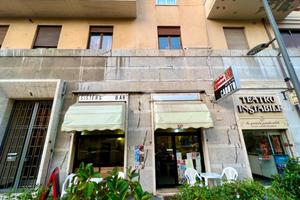ATTIVITÀ A GENOVA