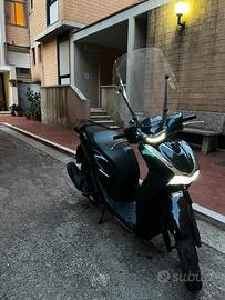 SH 2024 Verde vetro