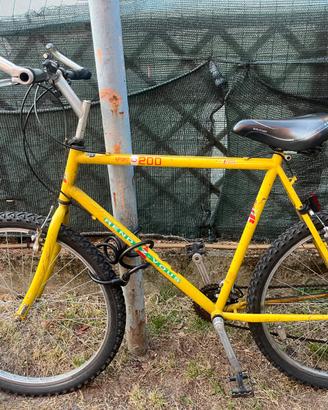 Bicicletta