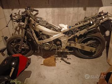 Zzr 600 E radiata per pezzi
