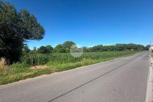 TER. AGRICOLO A SEREGNO
