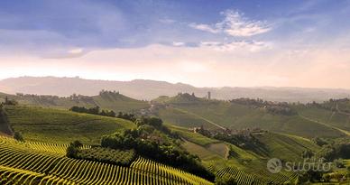 ALBERGO / RISTORANTE per una gradevole Ospitalità