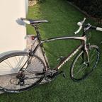 Bottecchia 8Avio Evo ULTEGRA tutta in  Carbonio!!!